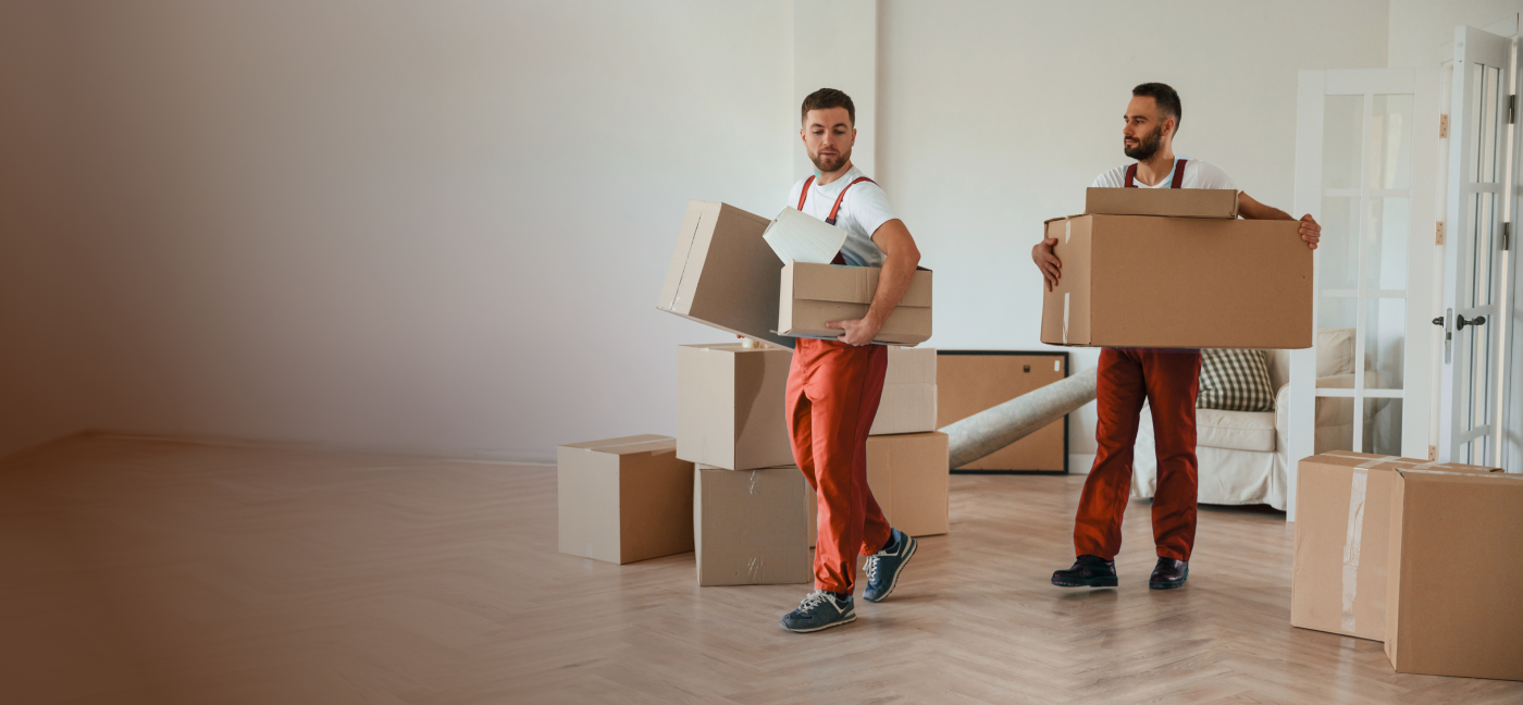 Expert Movers (1)